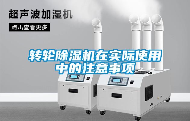 转轮蜜柚直播APP正版下载在实际使用中的注意事项