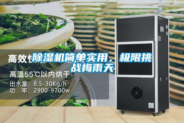 蜜柚直播APP正版下载简单实用，极限挑战梅雨天