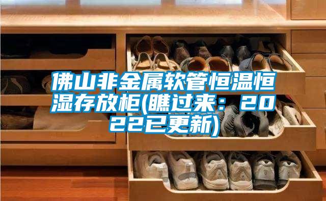 佛山非金属软管恒温恒湿存放柜(瞧过来：2022已更新)
