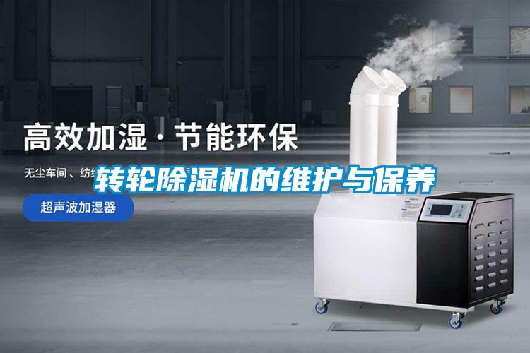 转轮蜜柚直播APP正版下载的维护与保养