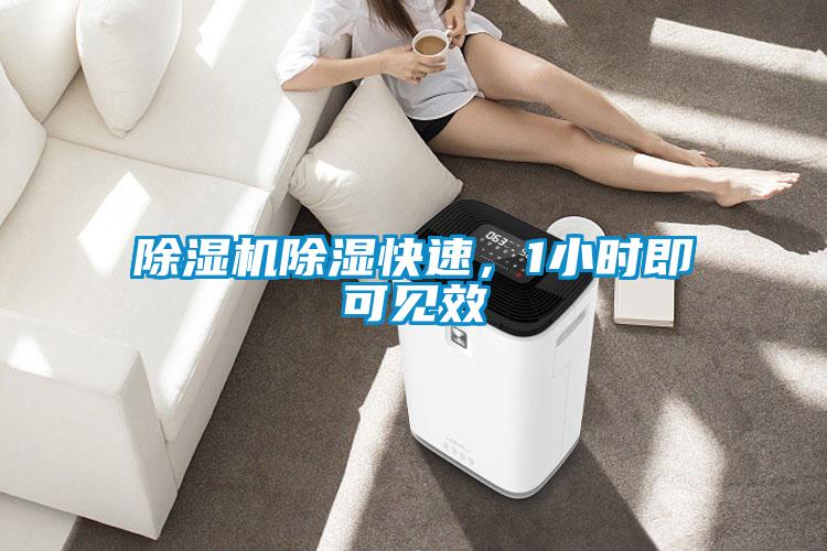 蜜柚直播APP正版下载除湿快速，1小时即可见效
