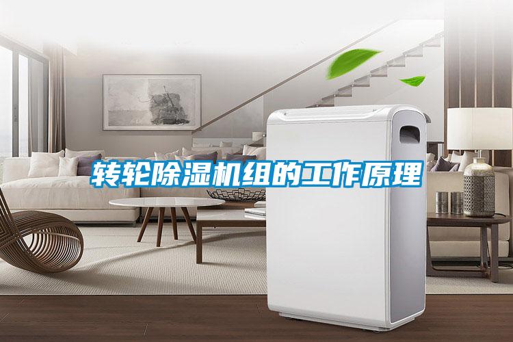 转轮蜜柚直播APP正版下载组的工作原理