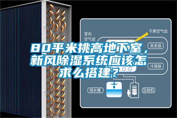 80平米挑高地下室，新风除湿系统应该怎求么搭建？
