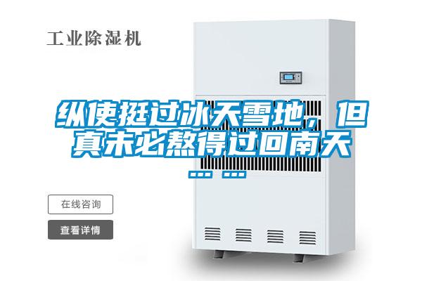 纵使挺过冰天雪地，但真未必熬得过回南天……