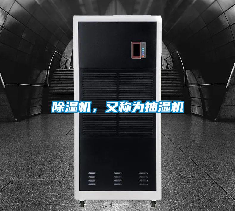 蜜柚直播APP正版下载，又称为抽湿机