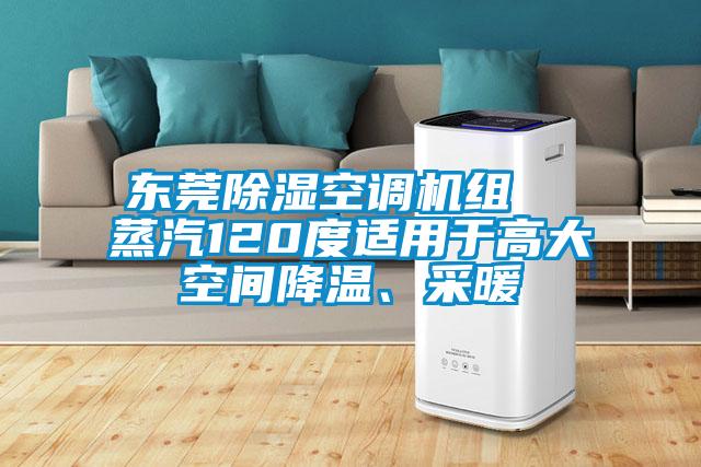 东莞除湿空调机组  蒸汽120度适用于高大空间降温、采暖