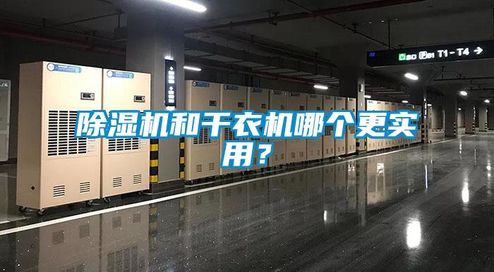 蜜柚直播APP正版下载和干衣机哪个更实用？