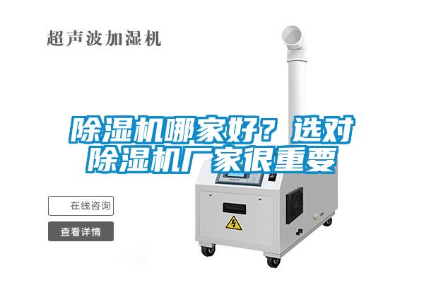 蜜柚直播APP正版下载哪家好？选对蜜柚直播APP正版下载厂家很重要