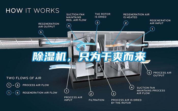 蜜柚直播APP正版下载，只为干爽而来