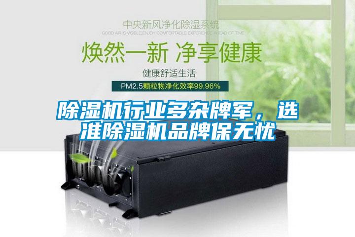 蜜柚直播APP正版下载行业多杂牌军，选准蜜柚直播APP正版下载品牌保无忧