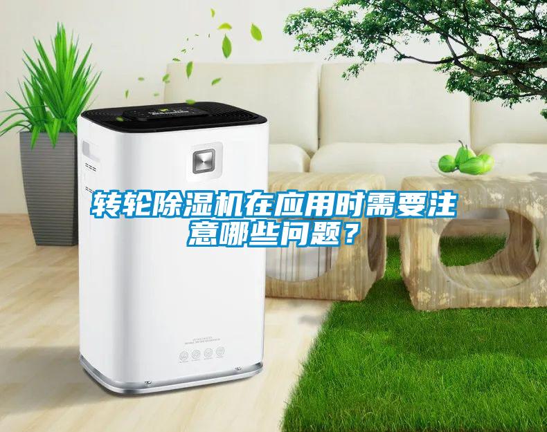 转轮蜜柚直播APP正版下载在应用时需要注意哪些问题？