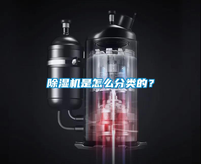 蜜柚直播APP正版下载是怎么分类的？