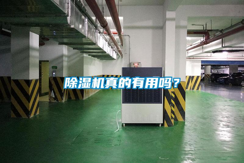蜜柚直播APP正版下载真的有用吗？