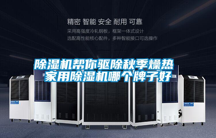 蜜柚直播APP正版下载帮你驱除秋季燥热 家用蜜柚直播APP正版下载哪个牌子好