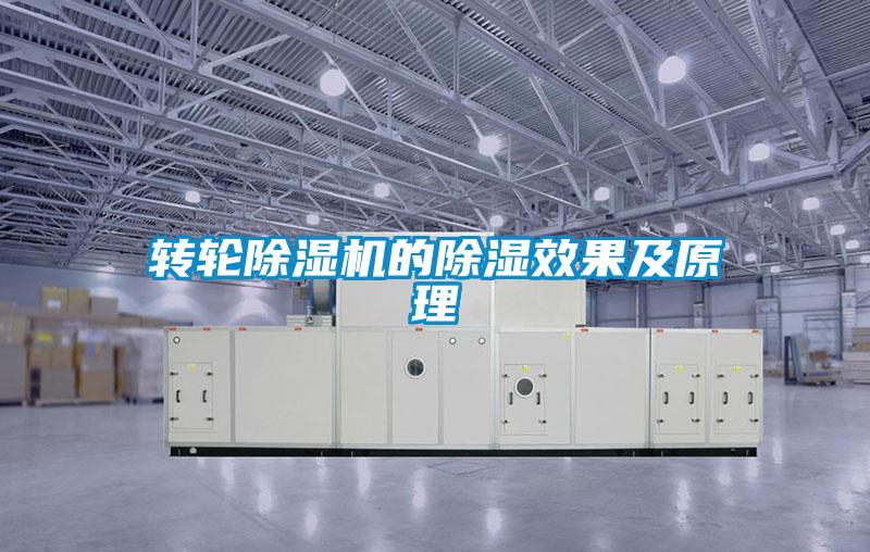 转轮蜜柚直播APP正版下载的除湿效果及原理