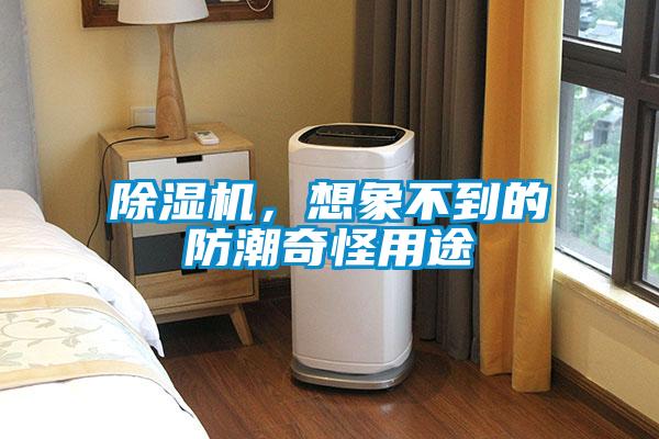 蜜柚直播APP正版下载，想象不到的防潮奇怪用途