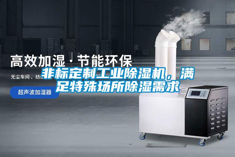 非标定制工业蜜柚直播APP正版下载，满足特殊场所除湿需求