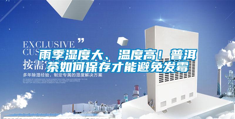 雨季湿度大、温度高！普洱茶如何保存才能避免发霉