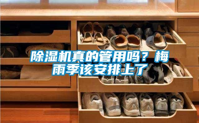 蜜柚直播APP正版下载真的管用吗？梅雨季该安排上了