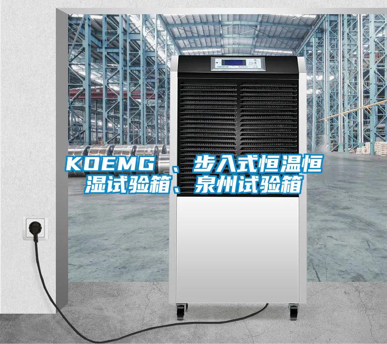KOEMG 、步入式恒温恒湿试验箱、泉州试验箱