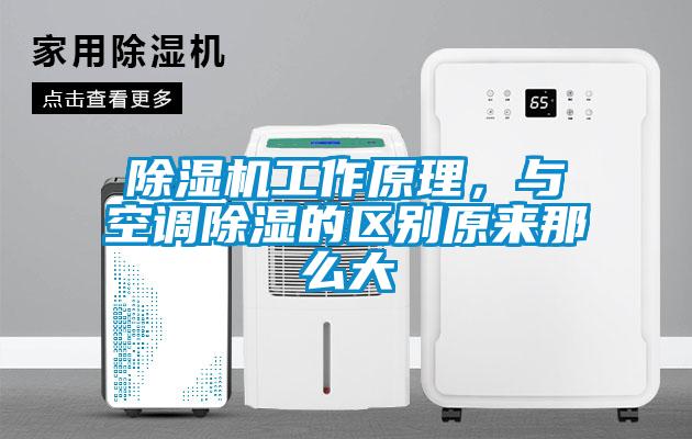蜜柚直播APP正版下载工作原理，与空调除湿的区别原来那么大