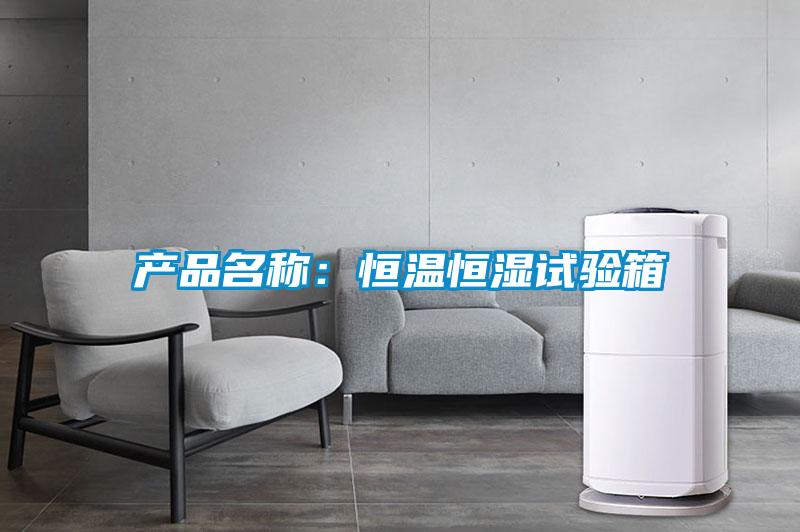 产品名称：恒温恒湿试验箱