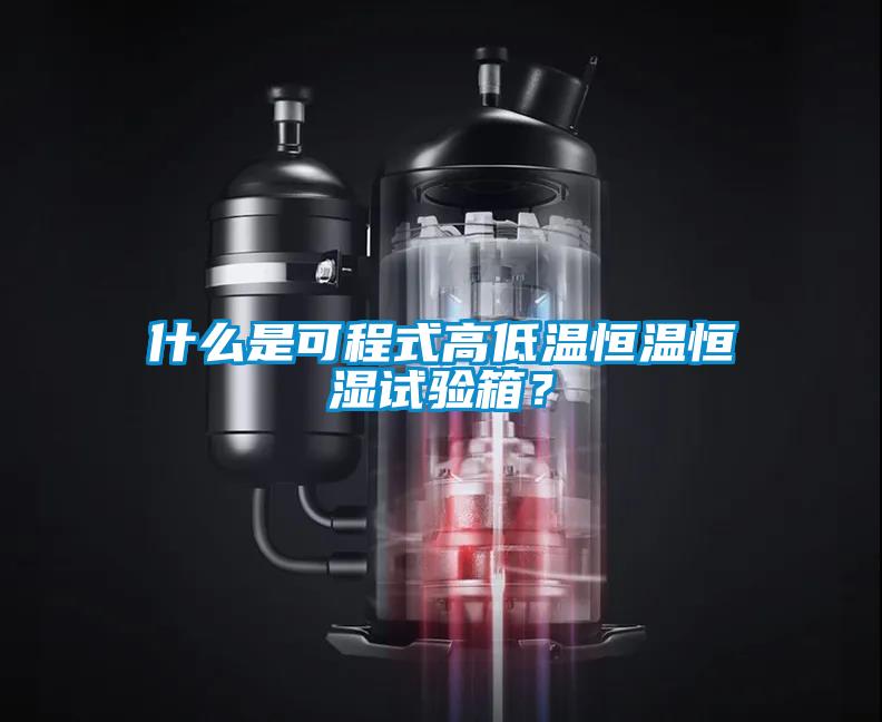 什么是可程式高低温恒温恒湿试验箱？