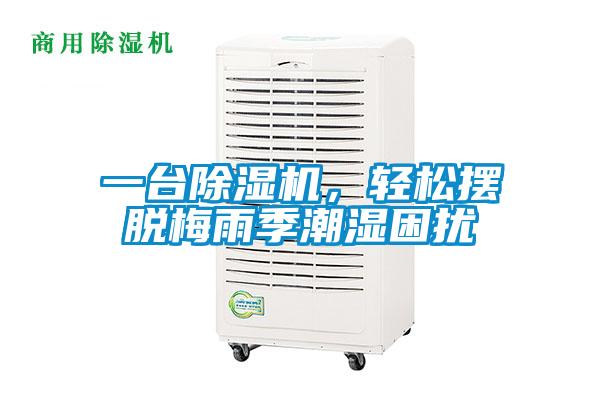 一台蜜柚直播APP正版下载，轻松摆脱梅雨季潮湿困扰