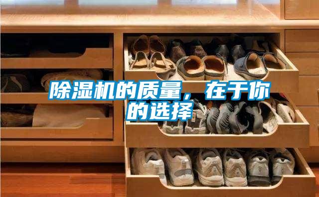 蜜柚直播APP正版下载的质量，在于你的选择