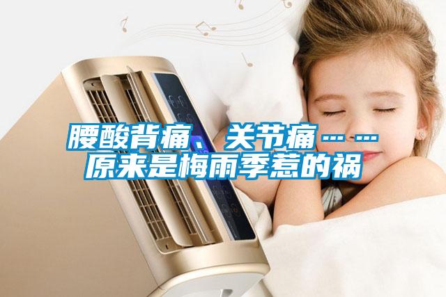 腰酸背痛、关节痛……原来是梅雨季惹的祸