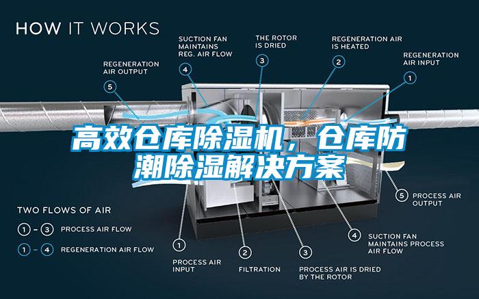 高效仓库蜜柚直播APP正版下载，仓库防潮除湿蜜柚直播APP下载平台