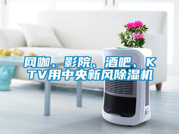 网咖、影院、酒吧、KTV用中央新风蜜柚直播APP正版下载