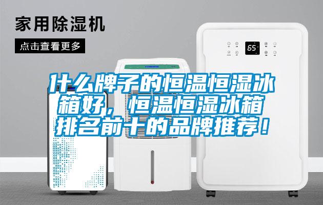 什么牌子的恒温恒湿冰箱好，恒温恒湿冰箱排名前十的品牌推荐！