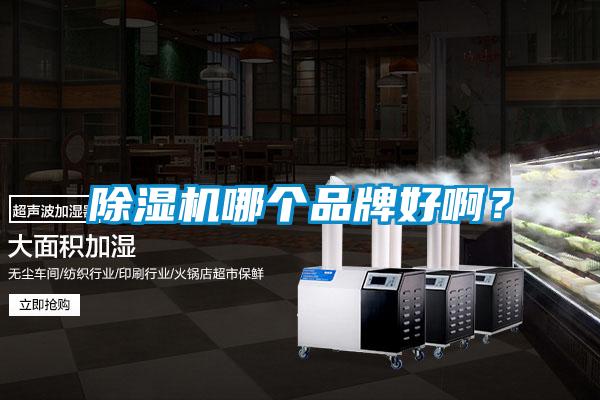 蜜柚直播APP正版下载哪个品牌好啊?