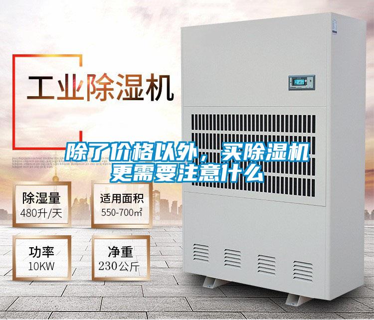 除了价格以外，买蜜柚直播APP正版下载更需要注意什么