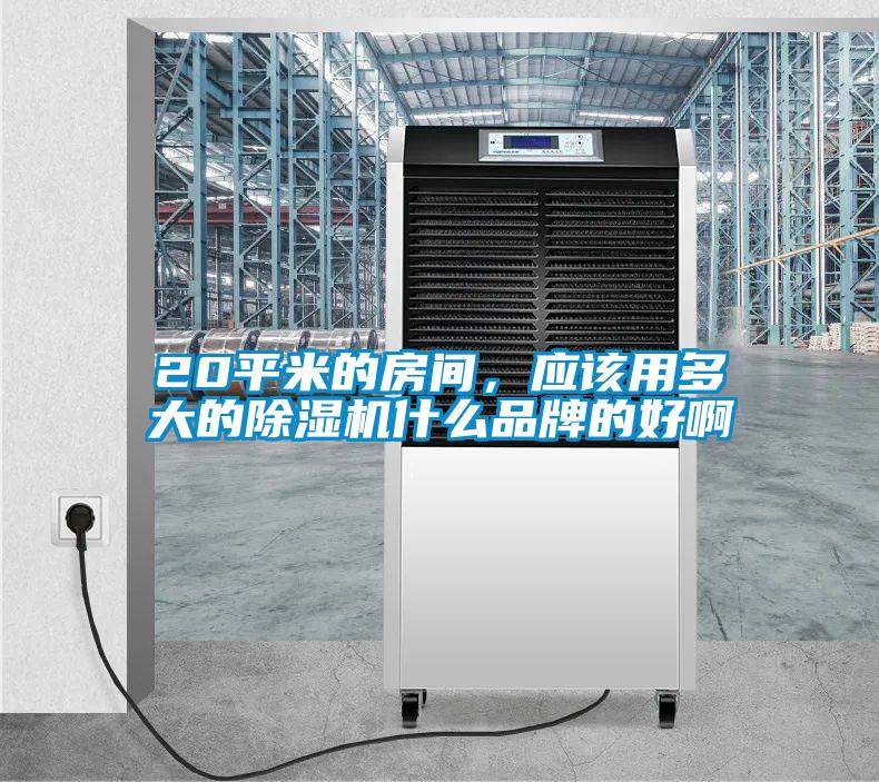 20平米的房间，应该用多大的蜜柚直播APP正版下载什么品牌的好啊