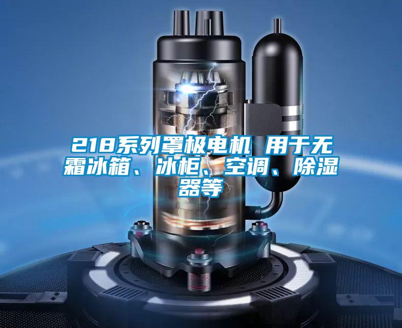 218系列罩极电机 用于无霜冰箱、冰柜、空调、除湿器等