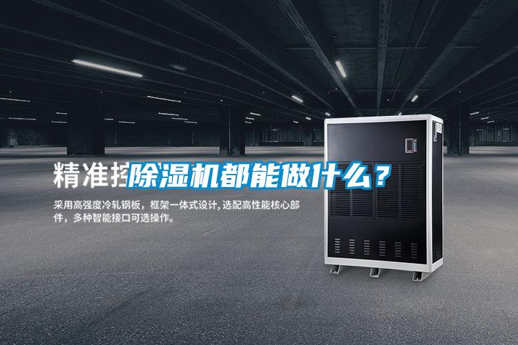 蜜柚直播APP正版下载都能做什么？