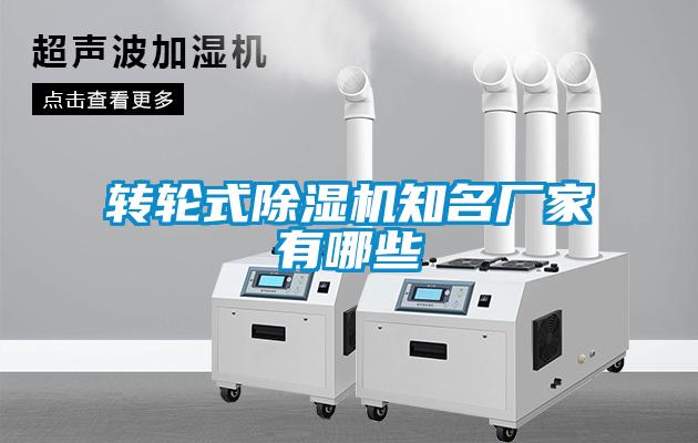 转轮式蜜柚直播APP正版下载知名厂家有哪些