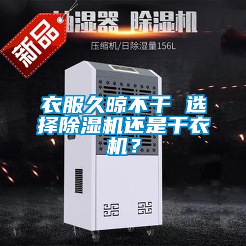 衣服久晾不干 选择蜜柚直播APP正版下载还是干衣机？