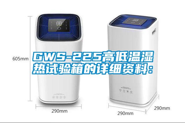 GWS-225高低温湿热试验箱的详细资料：