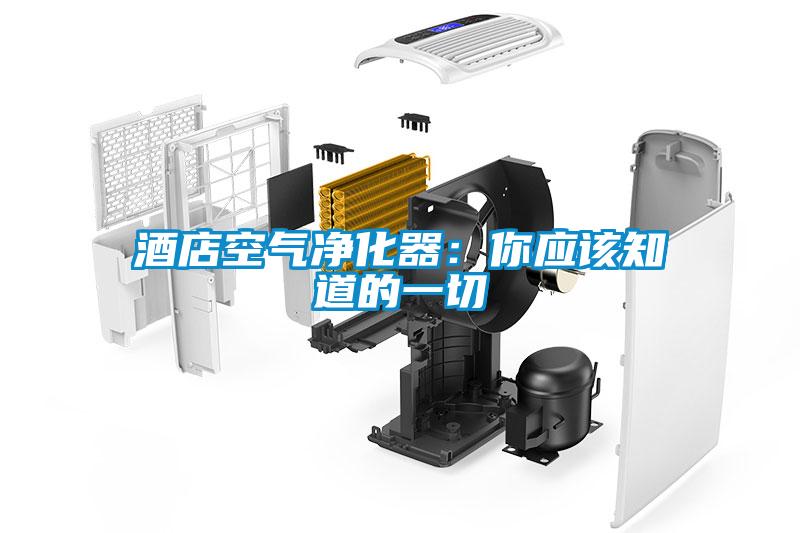 酒店空气净化器：你应该知道的一切