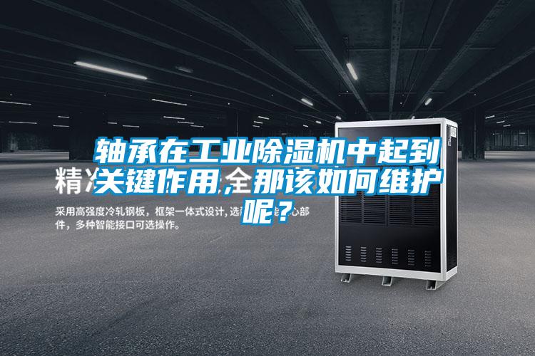 轴承在工业蜜柚直播APP正版下载中起到关键作用，那该如何维护呢？