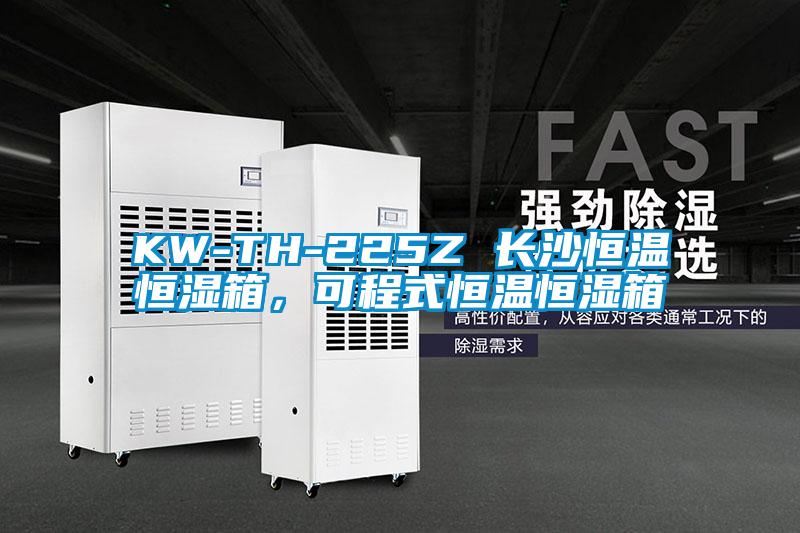 KW-TH-225Z 长沙恒温恒湿箱，可程式恒温恒湿箱