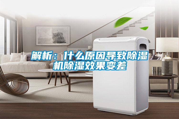 解析：什么原因导致蜜柚直播APP正版下载除湿效果变差