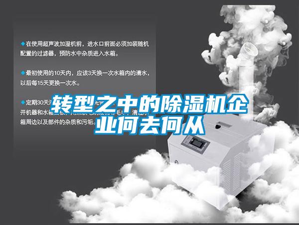 转型之中的蜜柚直播APP正版下载企业何去何从