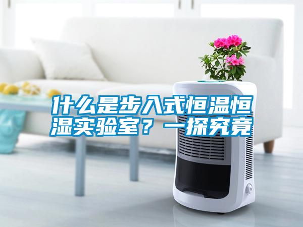 什么是步入式恒温恒湿实验室？一探究竟