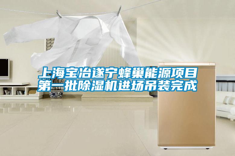 上海宝冶遂宁蜂巢能源项目第一批蜜柚直播APP正版下载进场吊装完成