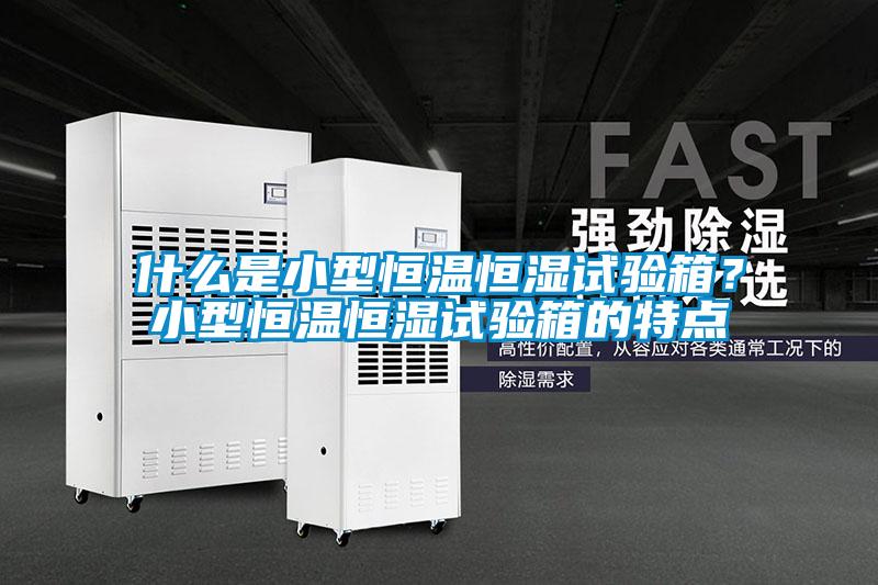 什么是小型恒温恒湿试验箱？小型恒温恒湿试验箱的特点