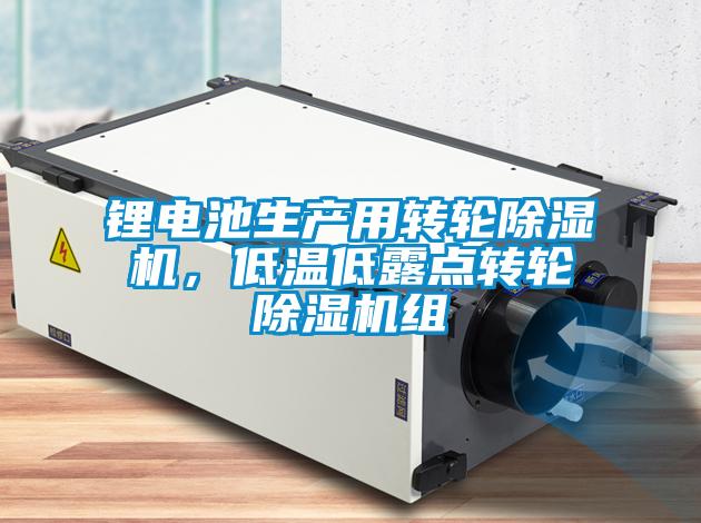 锂电池生产用转轮蜜柚直播APP正版下载，低温低露点转轮蜜柚直播APP正版下载组